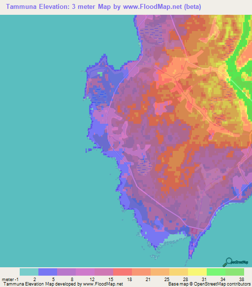 Tammuna,Estonia Elevation Map