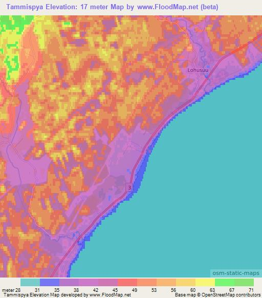 Tammispya,Estonia Elevation Map