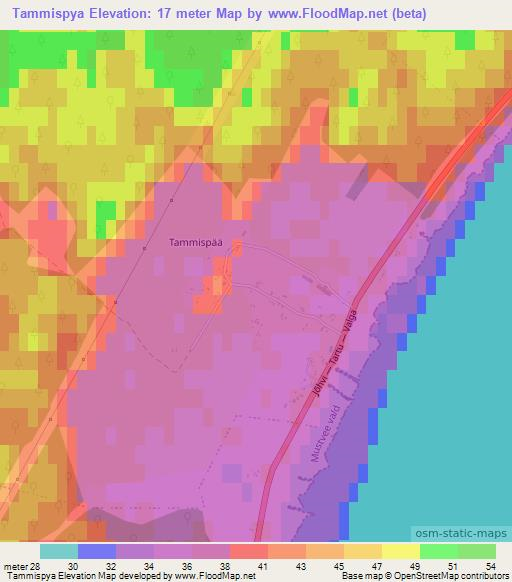 Tammispya,Estonia Elevation Map