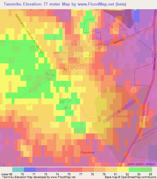 Tammiku,Estonia Elevation Map