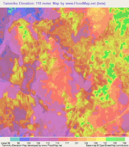 Tammiku,Estonia Elevation Map