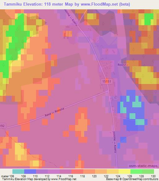 Tammiku,Estonia Elevation Map