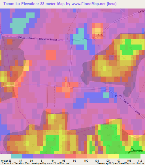 Tammiku,Estonia Elevation Map