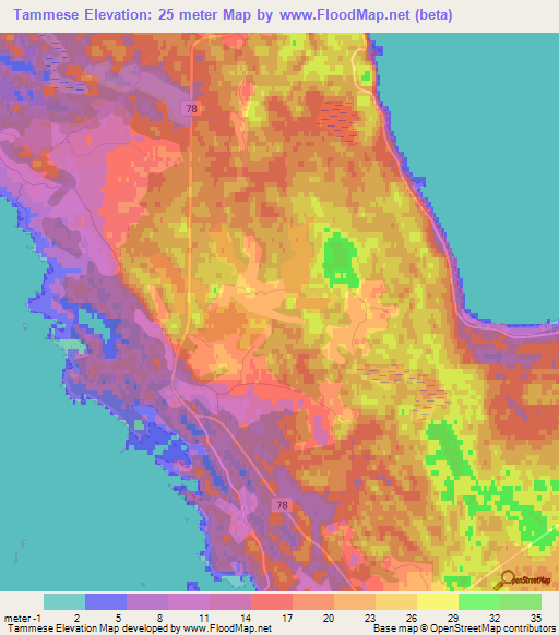 Tammese,Estonia Elevation Map