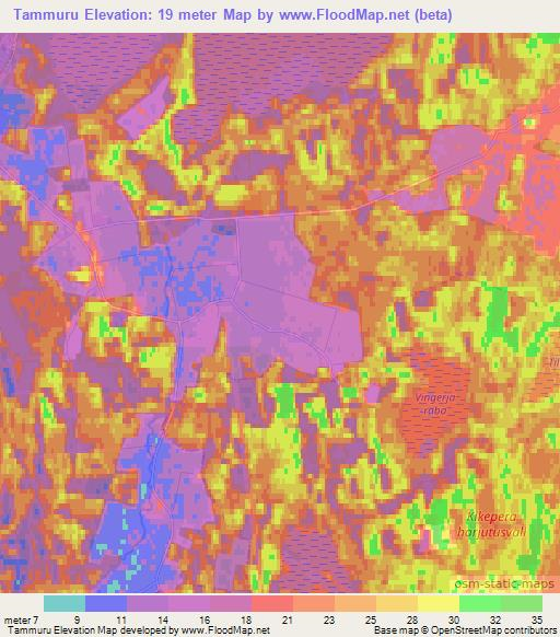 Tammuru,Estonia Elevation Map