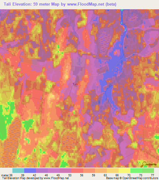 Tali,Estonia Elevation Map