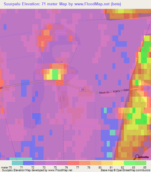 Suurpalu,Estonia Elevation Map