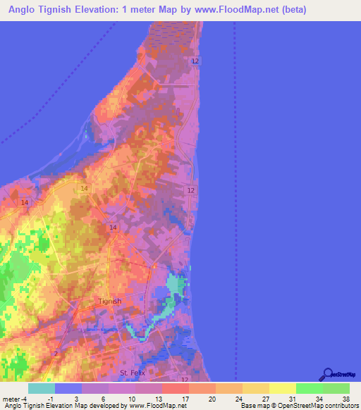 Anglo Tignish,Canada Elevation Map