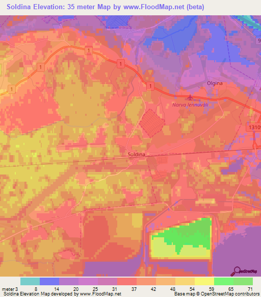 Soldina,Estonia Elevation Map