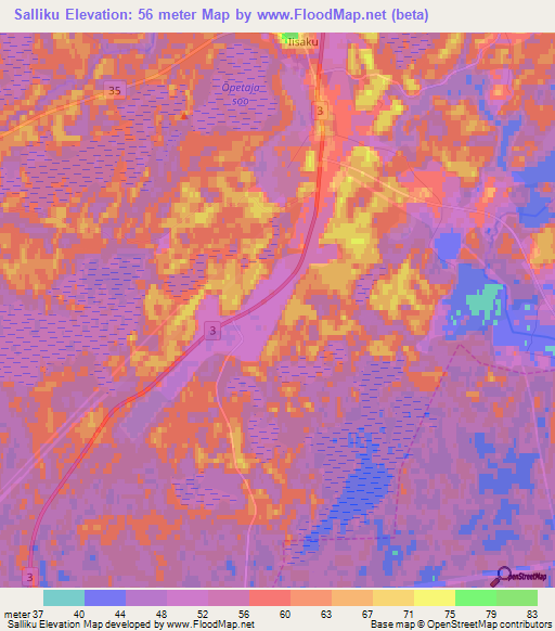 Salliku,Estonia Elevation Map