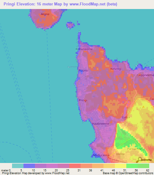 Pringi,Estonia Elevation Map