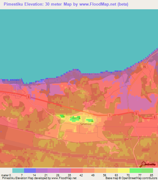 Pimestiku,Estonia Elevation Map