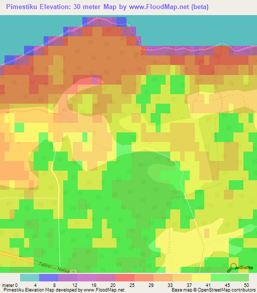 Pimestiku,Estonia Elevation Map