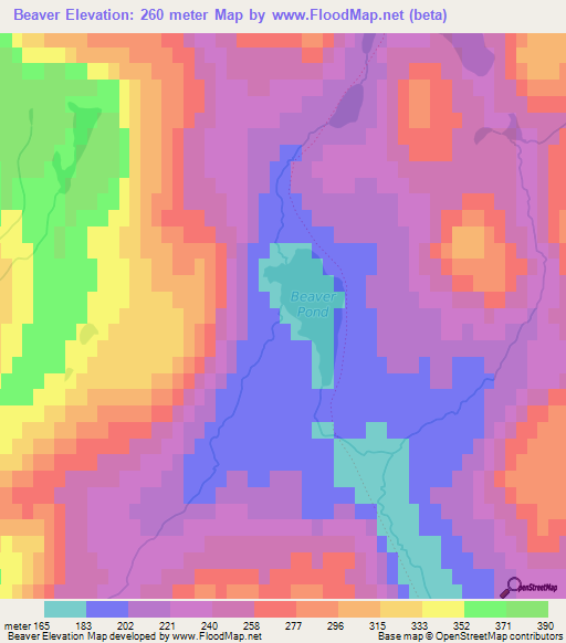 Beaver,Canada Elevation Map