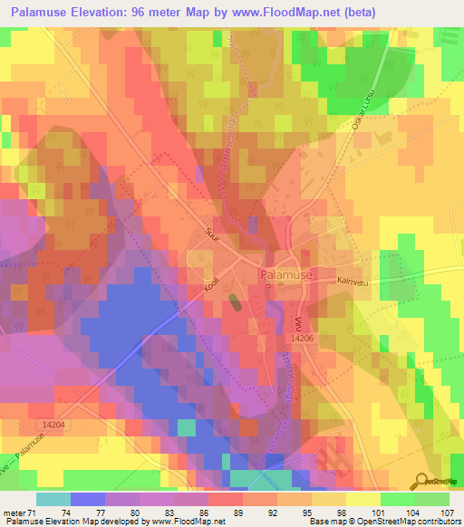 Palamuse,Estonia Elevation Map