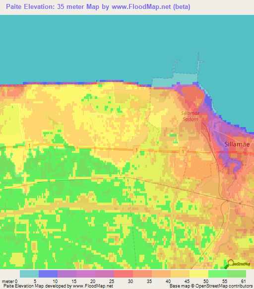 Paite,Estonia Elevation Map