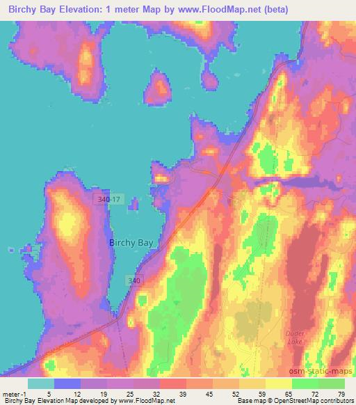 Birchy Bay,Canada Elevation Map