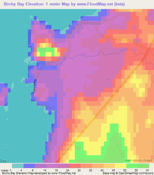 Birchy Bay,Canada Elevation Map