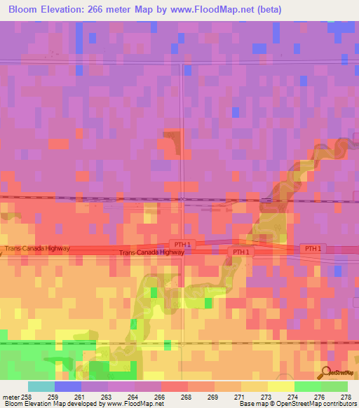 Bloom,Canada Elevation Map