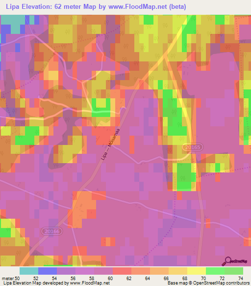 Lipa,Estonia Elevation Map