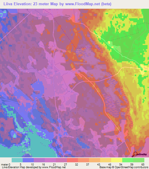 Liiva,Estonia Elevation Map