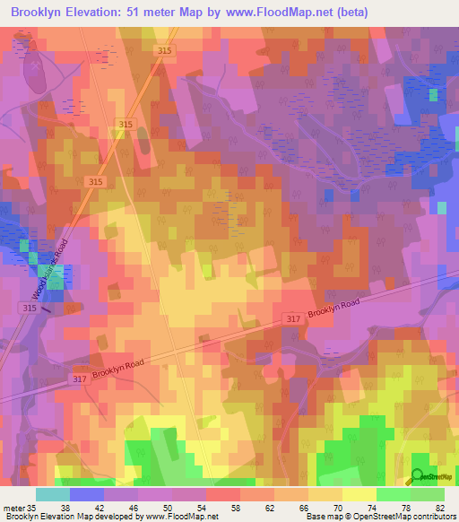 Brooklyn,Canada Elevation Map