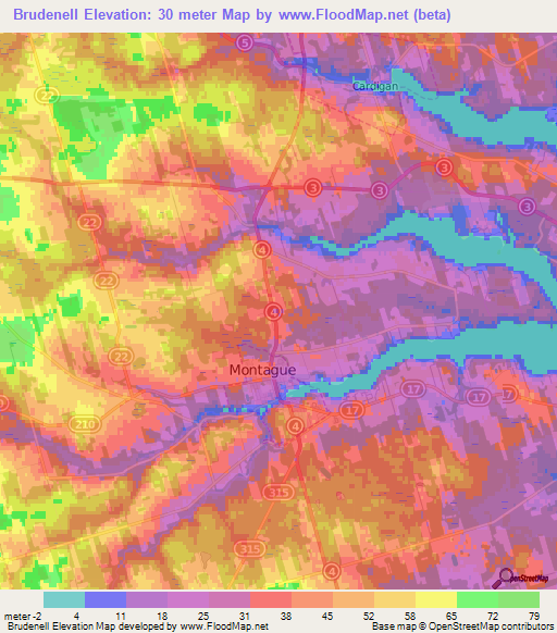 Brudenell,Canada Elevation Map