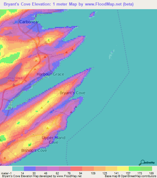 Bryant's Cove,Canada Elevation Map