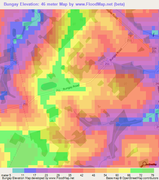 Bungay,Canada Elevation Map