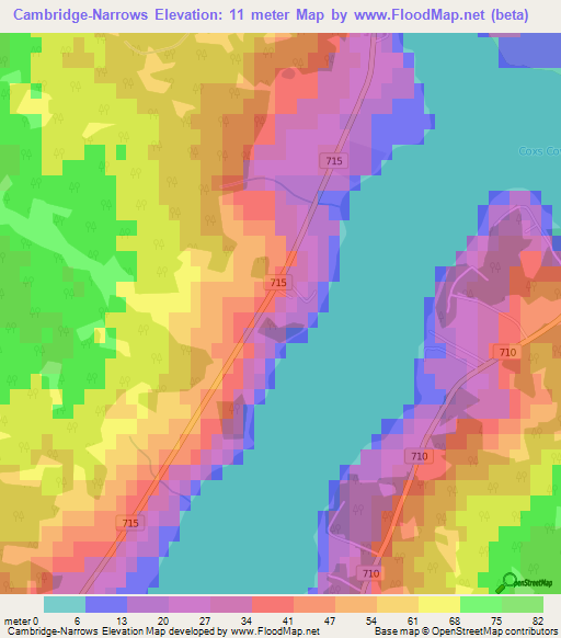 Cambridge-Narrows,Canada Elevation Map