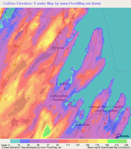 Colliers,Canada Elevation Map