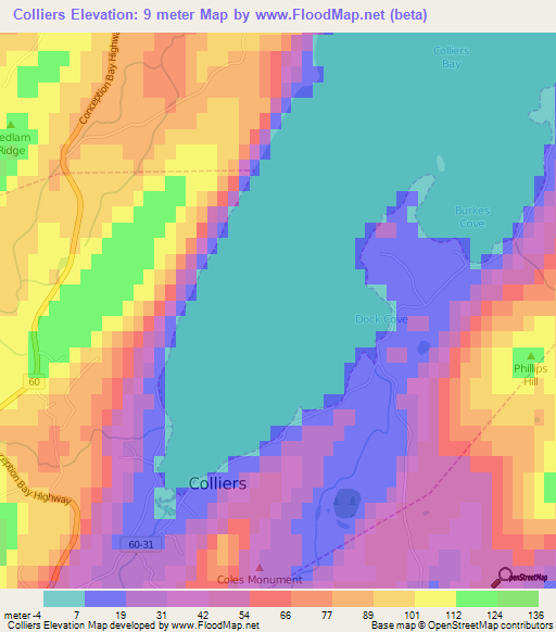 Colliers,Canada Elevation Map