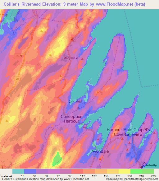 Collier's Riverhead,Canada Elevation Map