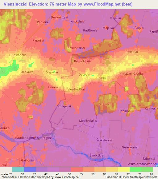 Vienzindziai,Lithuania Elevation Map