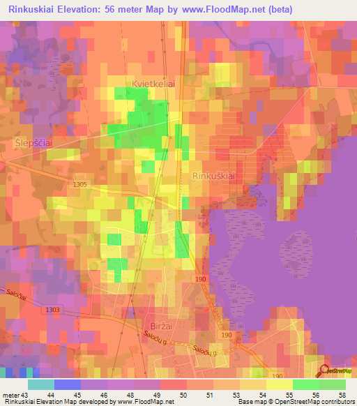 Rinkuskiai,Lithuania Elevation Map