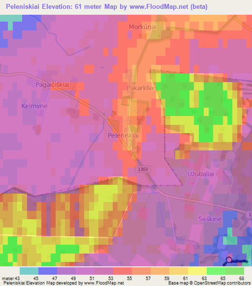 Peleniskiai,Lithuania Elevation Map