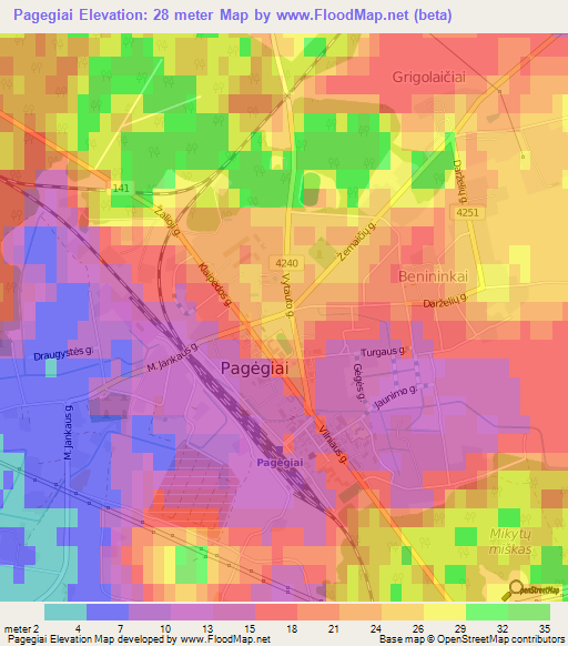 Pagegiai,Lithuania Elevation Map