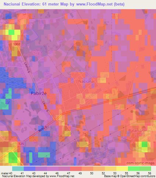 Naciunai,Lithuania Elevation Map