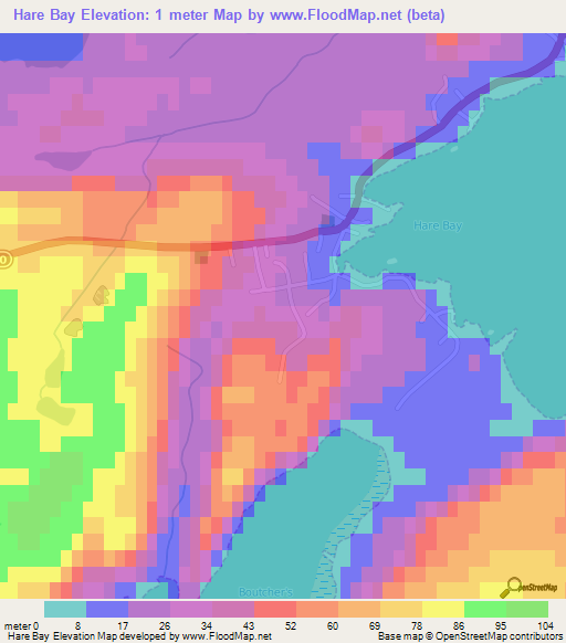 Hare Bay,Canada Elevation Map