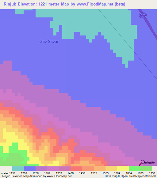 Rinjub,Iran Elevation Map