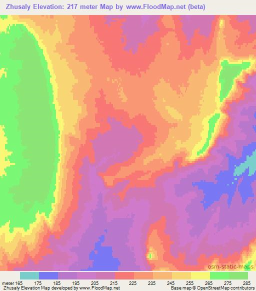 Zhusaly,Kazakhstan Elevation Map
