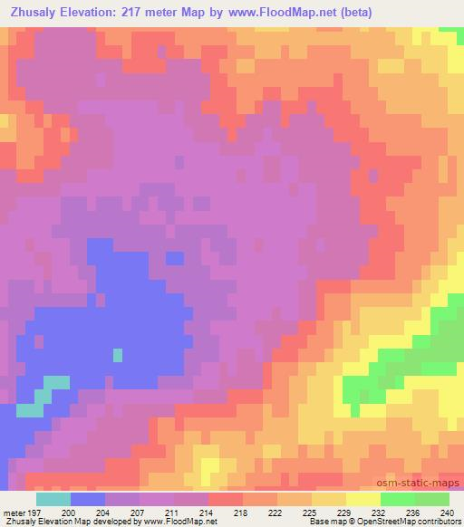 Zhusaly,Kazakhstan Elevation Map