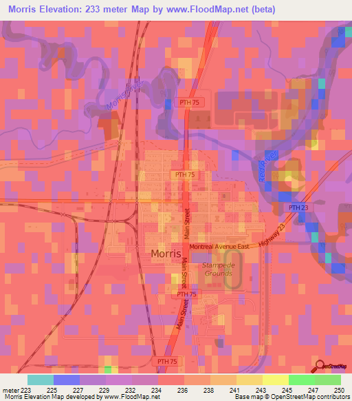 Morris,Canada Elevation Map