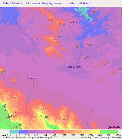 Dila,Somalia Elevation Map