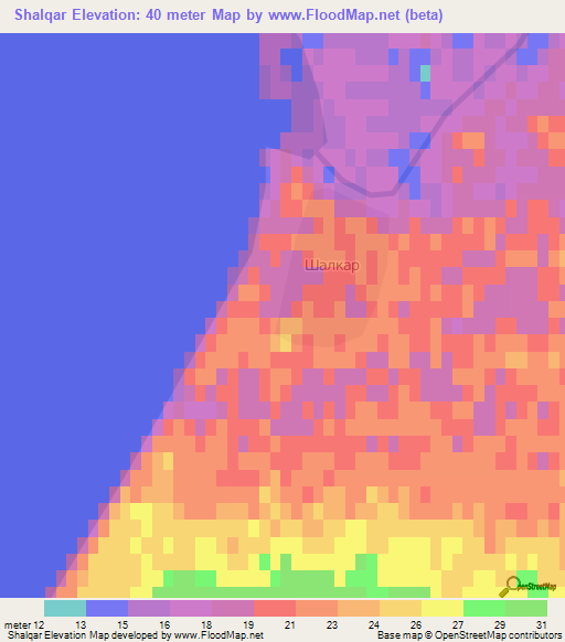 Shalqar,Kazakhstan Elevation Map