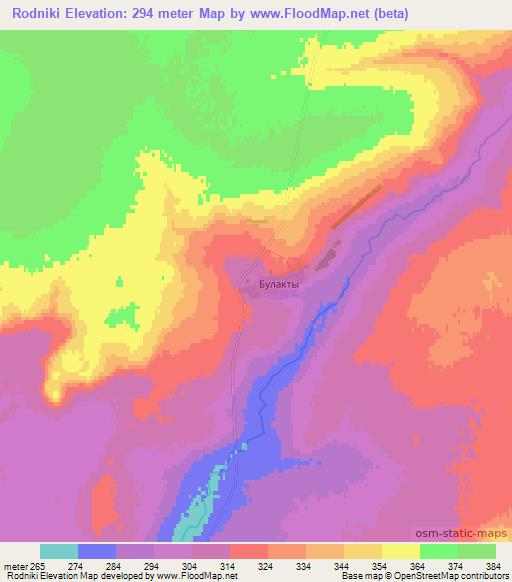 Rodniki,Kazakhstan Elevation Map