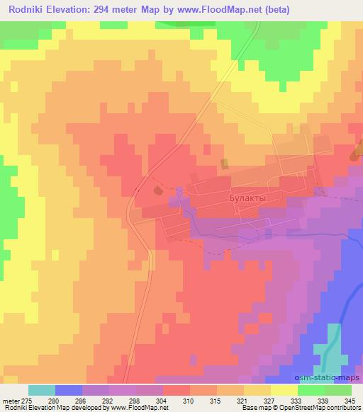 Rodniki,Kazakhstan Elevation Map