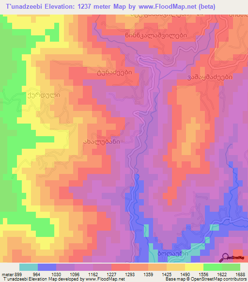 T'unadzeebi,Georgia Elevation Map