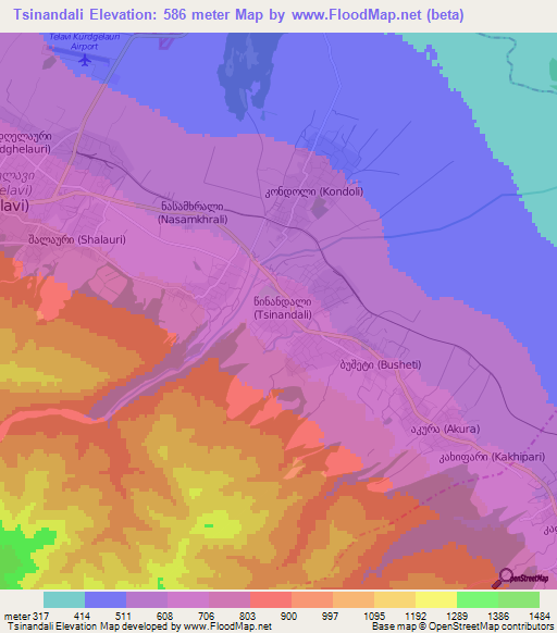 Tsinandali,Georgia Elevation Map