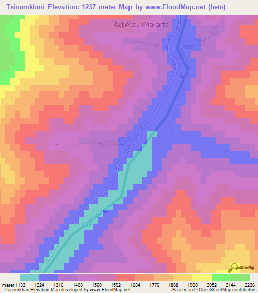 Tsinamkhari,Georgia Elevation Map